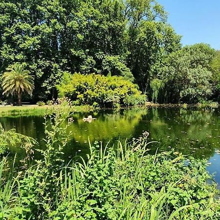 Conques-sur-Orbiel Gite De 420 Metres Carres Dans Chateau L'Ange Au Violon Jusqu'A 13 Couchages מראה חיצוני תמונה
