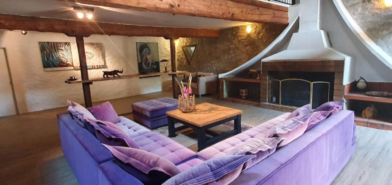 Conques-sur-Orbiel Gite De 420 Metres Carres Dans Chateau L'Ange Au Violon Jusqu'A 13 Couchages מראה חיצוני תמונה