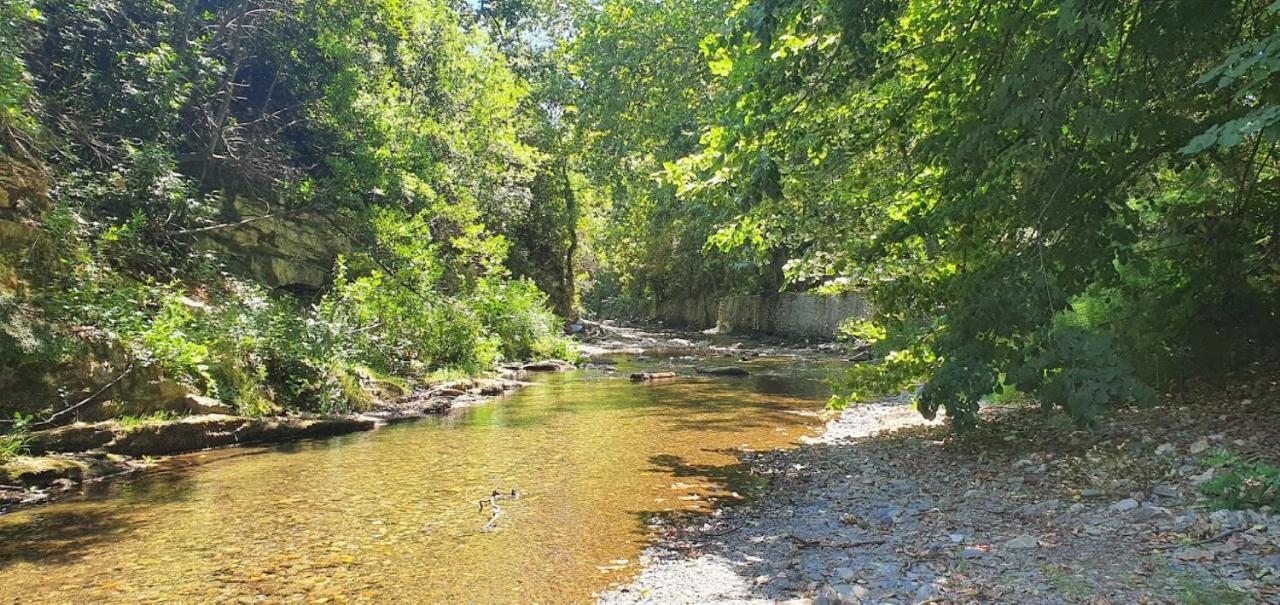 Conques-sur-Orbiel Gite De 420 Metres Carres Dans Chateau L'Ange Au Violon Jusqu'A 13 Couchages מראה חיצוני תמונה